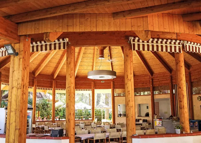 Mare E Pineta-3 By Interhome Casa vacanze