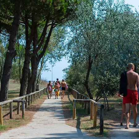Mare E Pineta-3 By Interhome